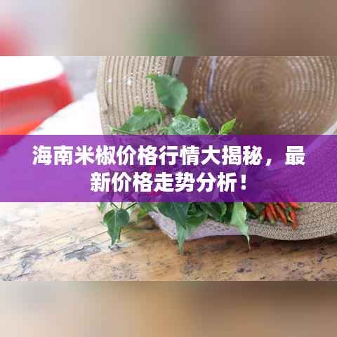 海南米椒价格行情大揭秘,最新价格走势分析!