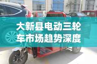大新县电动三轮车市场趋势深度解析